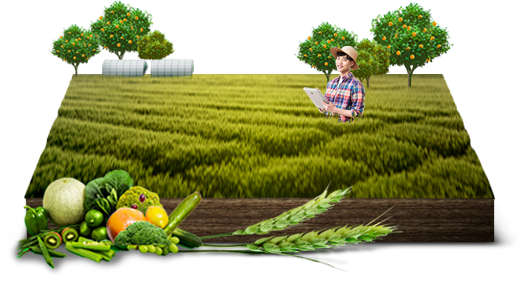 농산물·농식품